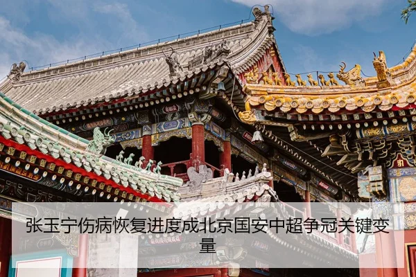张玉宁伤病恢复进度成北京国安中超争冠关键变量