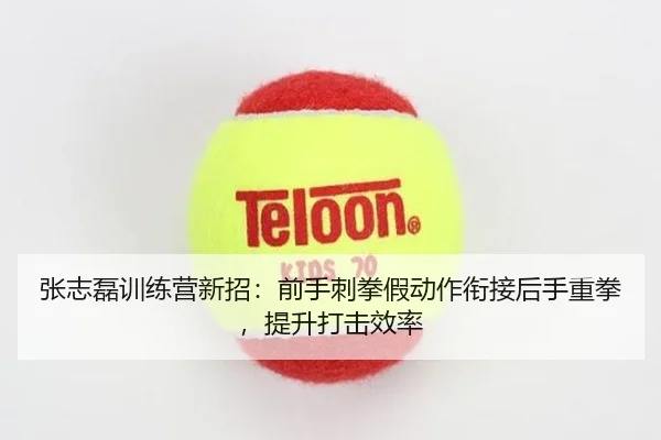 张志磊训练营新招：前手刺拳假动作衔接后手重拳，提升打击效率