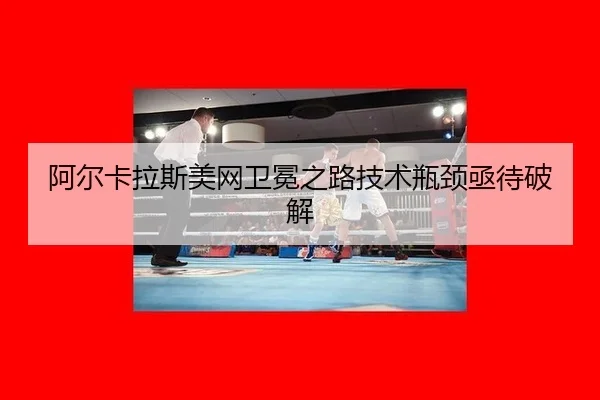 a-er-ka-la-si-mei-wang-wei-mian-zhi-lu-ji-shu-ping-jing-ji-dai-po-jie-2-631.jpg