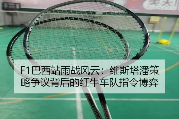 ba-xi-zhan-yu-zhan-feng-yun-wei-si-ta-pan-ce-lve-zheng-yi-bei-hou-de-hong-niu-che-dui-zhi-ling-bo-yi-3-588.jpg